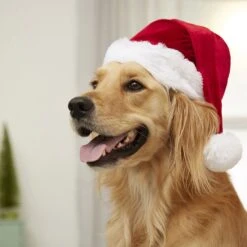 Frisco Holiday Dog & Cat Santa Hat, 1 Count -Cat Pet Supplies 160054 PT4. AC SS1800 V1637650626