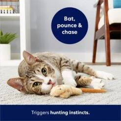 Frisco Skinny Mouse Plush Cat Toy With Catnip -Cat Pet Supplies 161268 PT5. AC SS1800 V1686578718