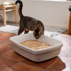Frisco Pine Pellet Unscented Non-Clumping Wood Cat Litter 13 Frisco Pine Pellet Unscented Non-Clumping Wood Cat Litter -Cat Pet Supplies 161458 PT4. AC SS1800 V1659023182