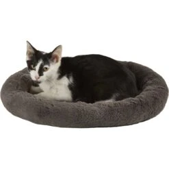 Frisco Self Warming Bolster Round Kitten Bed -Cat Pet Supplies 165315 PT2. AC SS1800 V1568211141