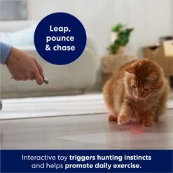 Frisco 2-in-1 Laser & LED Light Laser Cat Toy -Cat Pet Supplies 166309 PT3. AC SS1800 V1686579688