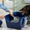 Frisco Plastic Litter Scooper With Caddy 1 Frisco Plastic Litter Scooper With Caddy -Cat Pet Supplies 166329 MAIN. AC SS1800 V1675280049