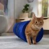 Frisco Foldable Play Tunnel With Mesh Cat Toy -Cat Pet Supplies 166385 MAIN. AC SS1800 V1686579145