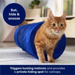 Frisco Foldable Play Tunnel With Mesh Cat Toy -Cat Pet Supplies 166385 PT2. AC SS1800 V1686580143