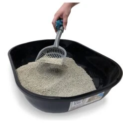 Fresh Kitty Large Deluxe Cat Litter Scoop With Waste Bag Handle 13 Fresh Kitty Large Deluxe Cat Litter Scoop With Waste Bag Handle -Cat Pet Supplies 166726 PT5. AC SS1800 V1556134348