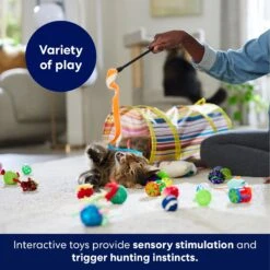 Frisco Plush, Teaser, Ball & Tunnel Variety Pack Cat Toy With Catnip -Cat Pet Supplies 169688 PT5. AC SS1800 V1691784246
