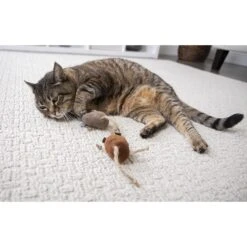 Petlinks Lil' Critters Mice Cat Toy With Catnip -Cat Pet Supplies 173511 PT3. AC SS1800 V1594673475