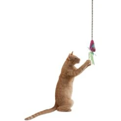 Fat Cat Catfisher Teasers Crawdaddy Wand Cat Toy -Cat Pet Supplies 174923 PT2. AC SS1800 V1602297688