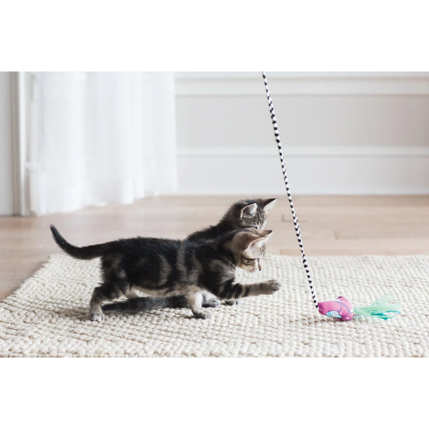 Fat Cat Catfisher Teasers Worm Wand Cat Toy 4 Fat Cat Catfisher Teasers Worm Wand Cat Toy - Image 2