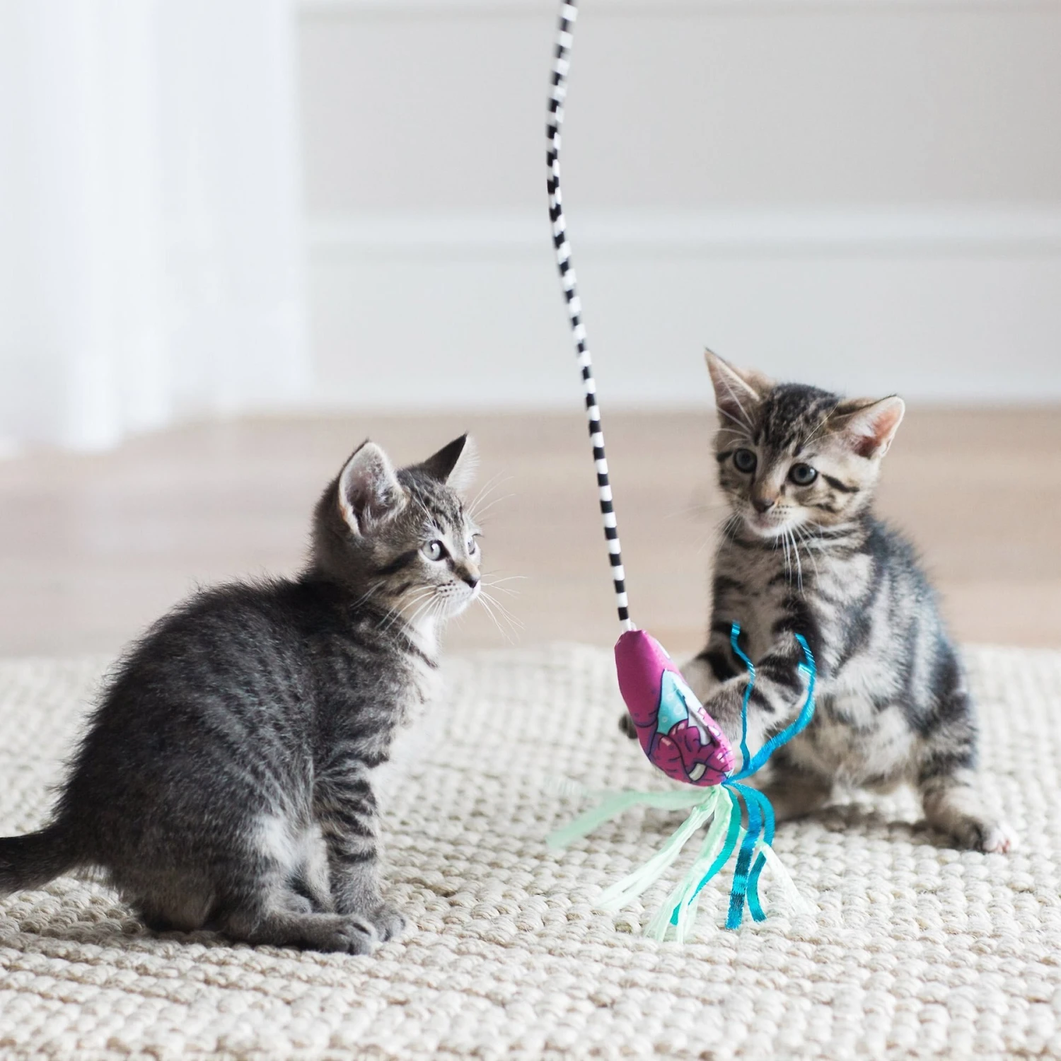 Fat Cat Catfisher Teasers Worm Wand Cat Toy 5 Fat Cat Catfisher Teasers Worm Wand Cat Toy - Image 3