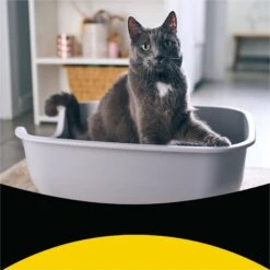 Tidy Max Lightweight Glade Clear Springs Scented Lightweight Clay Cat Litter -Cat Pet Supplies 175483 PT2. AC SS1800 V1695847298