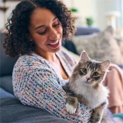 Tidy Max Lightweight Glade Clear Springs Scented Lightweight Clay Cat Litter -Cat Pet Supplies 175483 PT3. AC SS1800 V1695847304