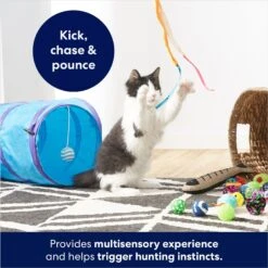 Frisco Plush, Teaser, Ball & Tri-Tunnel Variety Pack Cat Toy With Catnip, 20 Count -Cat Pet Supplies 178161 PT3. AC SS1800 V1678723898