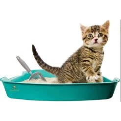 SunGrow Non-Stick Metal Scoop Kitty Box Cat Litter Scooper -Cat Pet Supplies 179562 PT2. AC SS1800 V1561406825