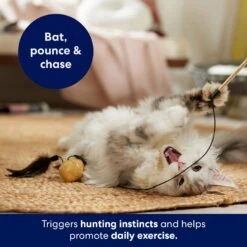 Frisco Sparkle Ball Teaser Wand Cat Toy With Catnip -Cat Pet Supplies 183254 PT3. AC SS1800 V1695241915