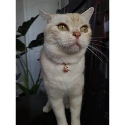 Necoichi Chirimen Sakura Breakaway Cat Collar With Bell -Cat Pet Supplies 183473 PT3. AC SS1800 V1644903139