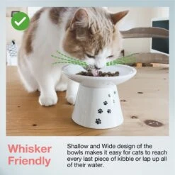 Necoichi Extra Wide Ceramic Elevated Cat Food Bowl, 2-cup -Cat Pet Supplies 183502 PT2. AC SS1800 V1698867551