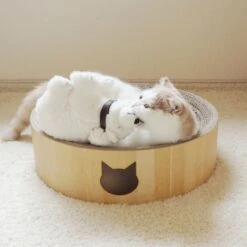 Necoichi Cozy Cat Scratcher Bowl Toy -Cat Pet Supplies 183517 PT8. AC SS1800 V1702938859