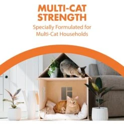 Arm & Hammer Litter Naturals Scented Clumping Corn Cat Litter 17 Arm & Hammer Litter Naturals Scented Clumping Corn Cat Litter -Cat Pet Supplies 184404 PT6. AC SS1800 V1663798197