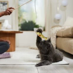 Ethical Pet Gone Fishin' Teaser Wand Cat Toy, Color Varies -Cat Pet Supplies 189212 PT3. AC SS1800 V1682711085