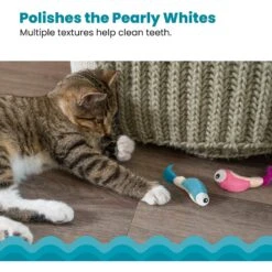 Catstages Dental Shrimpies Cat Chew Toy With Catnip, 2 Count 12 Catstages Dental Shrimpies Cat Chew Toy With Catnip, 2 Count -Cat Pet Supplies 190723 PT3. AC SS1800 V1636500155