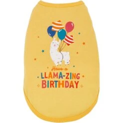 Frisco Llama-zing Birthday Dog & Cat T-Shirt 9 Frisco Llama-zing Birthday Dog & Cat T-Shirt -Cat Pet Supplies 191240 PT2. AC SS1800 V1582053523