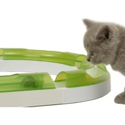 Catit Senses 2.0 Play Circuit Cat Toy -Cat Pet Supplies 191554 PT3. AC SS1800 V1628185299