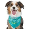 Frisco Happy Gotcha Day Dog & Cat Bandana 1 Frisco Happy Gotcha Day Dog & Cat Bandana -Cat Pet Supplies 200538 MAIN. AC SS1800 V1633085812
