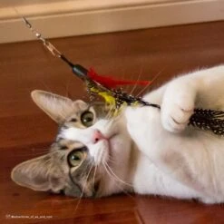 Turbo Flying Teaser Cat Toy -Cat Pet Supplies 202228 PT4. AC SS1800 V1678112543