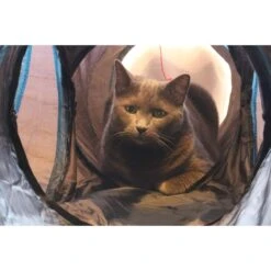 Feline Ruff 12" Premium 4-Way Collapsible Tunnel Cat Toy, Black & Blue 8 Feline Ruff 12" Premium 4-Way Collapsible Tunnel Cat Toy, Black & Blue -Cat Pet Supplies 203968 PT2. AC SS1800 V1594670775