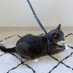 Necoichi ZEN Fish Charm Cotton Cat Harness & Leash -Cat Pet Supplies 205975 pt3. AC SS1800 V1573751024