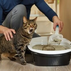 Arm & Hammer Litter Slide Multi-Cat Scented Clumping Clay Cat Litter -Cat Pet Supplies 207535 PT3. AC SS1800 V1676491989