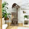Frisco 50-in Real Carpet Wooden Cat Tree 1 Frisco 50-in Real Carpet Wooden Cat Tree -Cat Pet Supplies 208930 MAIN. AC SS1800 V1602682020