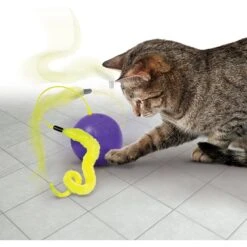 KONG Purrsuit Whirlwind Cat Toy 8 KONG Purrsuit Whirlwind Cat Toy -Cat Pet Supplies 209632 PT2. AC SS1800 V1631766473