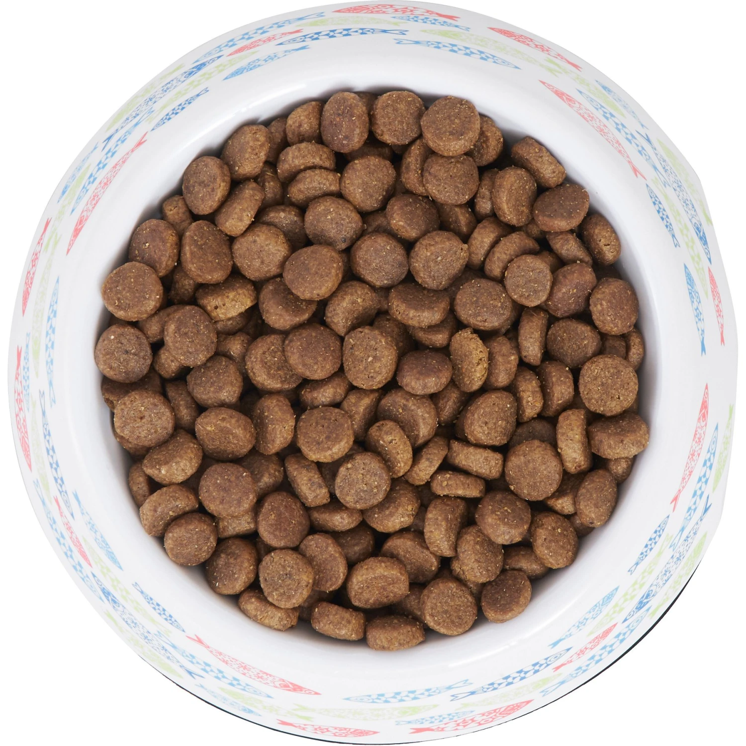 Frisco Colorful Fish Melamine Bowl 7 Frisco Colorful Fish Melamine Bowl - Image 5