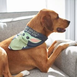 STAR WARS THE MANDALORIAN GROGU "Cutest Bounty" Reversible Dog & Cat Bandana -Cat Pet Supplies 220290 PT7. AC SS1800 V1646442795