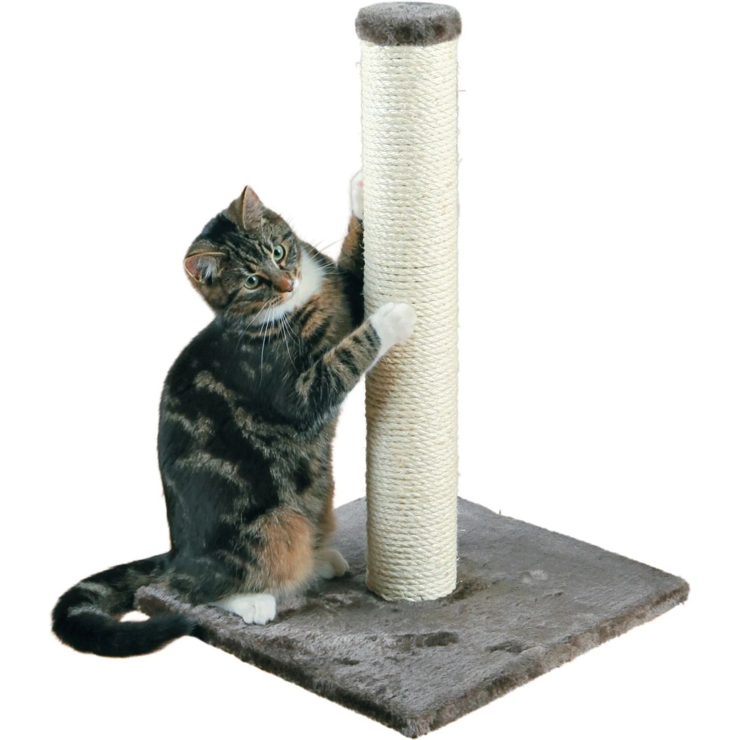 TRIXIE Parla 24.4-in Fleece Cat Scratching Post 4 TRIXIE Parla 24.4-in Fleece Cat Scratching Post - Image 2