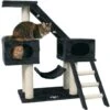 TRIXIE Malaga 43" Plush Cat Tree & Condo -Cat Pet Supplies 221650 main. AC SS1800 V1582055279