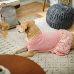 Frisco Cable Knit Dog & Cat Sweater Dress 13 Frisco Cable Knit Dog & Cat Sweater Dress -Cat Pet Supplies 223706 PT7. AC SS1800 V1599921696