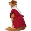 Frisco V Ruffle Dog & Cat Sweater Dress -Cat Pet Supplies 223730 MAIN. AC SS1800 V1604961734