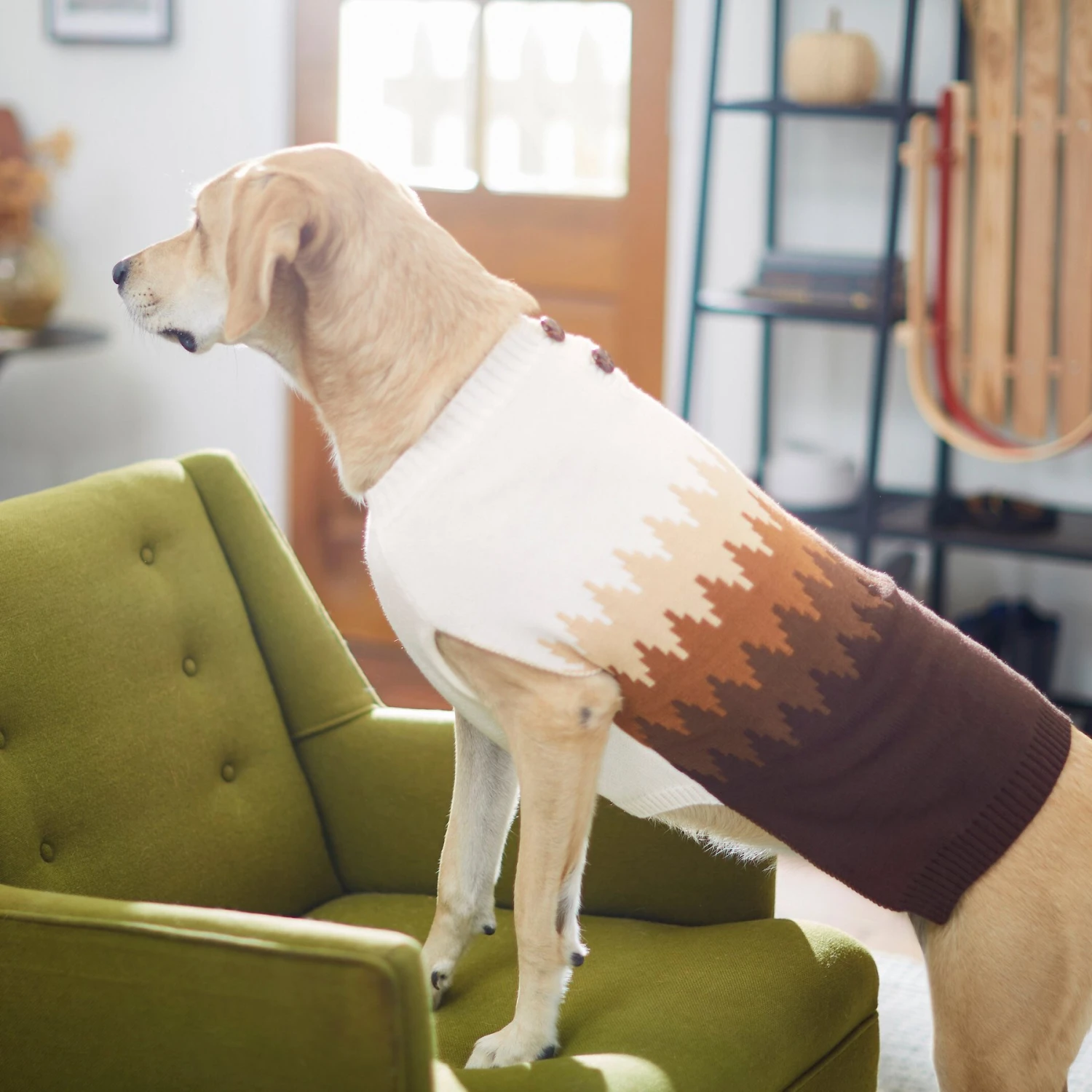 Frisco Gradient Diamond Dog & Cat Sweater 7 Frisco Gradient Diamond Dog & Cat Sweater - Image 5