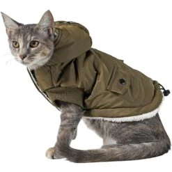 Frisco Mid-Heavyweight Love Insulated Dog & Cat Coat 10 Frisco Mid-Heavyweight Love Insulated Dog & Cat Coat -Cat Pet Supplies 224034 PT2. AC SS1800 V1599498998