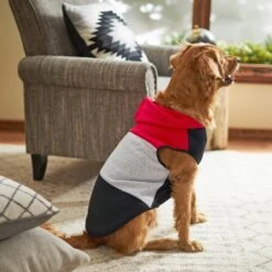 Frisco Colorblock Dog & Cat Sleeveless Hoodie -Cat Pet Supplies 224263 PT7. AC SS1800 V1599566252
