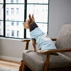 Frisco Mommy's Little Bear Dog & Cat Hoodie 17 Frisco Mommy's Little Bear Dog & Cat Hoodie -Cat Pet Supplies 224272 PT7. AC SS1800 V1599924073