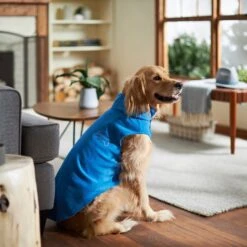 Frisco Ultra Lightweight Basic Dog & Cat Fleece Vest -Cat Pet Supplies 224316 PT7. AC SS1800 V1599924439