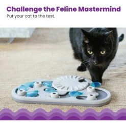 Nina Ottosson By Outward Hound Rainy Day Puzzle & Play Cat Toy -Cat Pet Supplies 227102 PT1. AC SS1800 V1636517213