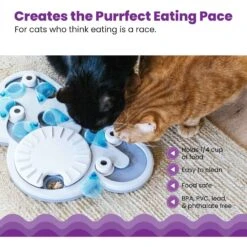 Nina Ottosson By Outward Hound Rainy Day Puzzle & Play Cat Toy -Cat Pet Supplies 227102 PT3. AC SS1800 V1636513619