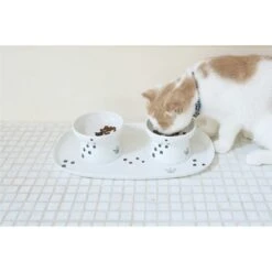 Necoichi Double Dining Tray Set & Elevated Cat Bowls -Cat Pet Supplies 230660 PT5. AC SS1800 V1631312470