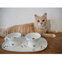 Necoichi Double Dining Tray Set & Elevated Cat Bowls -Cat Pet Supplies 230660 PT8. AC SS1800 V1631312193