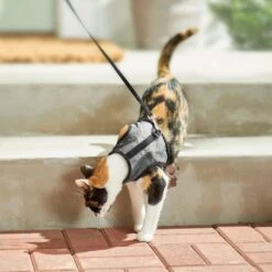 Frisco Wrap Cat Harness -Cat Pet Supplies 230691 PT5. AC SS1800 V1601096758